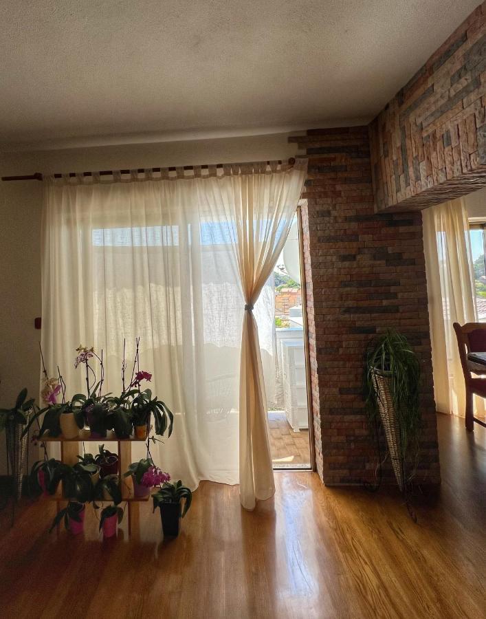 Apartmani Mia Palit Esterno foto