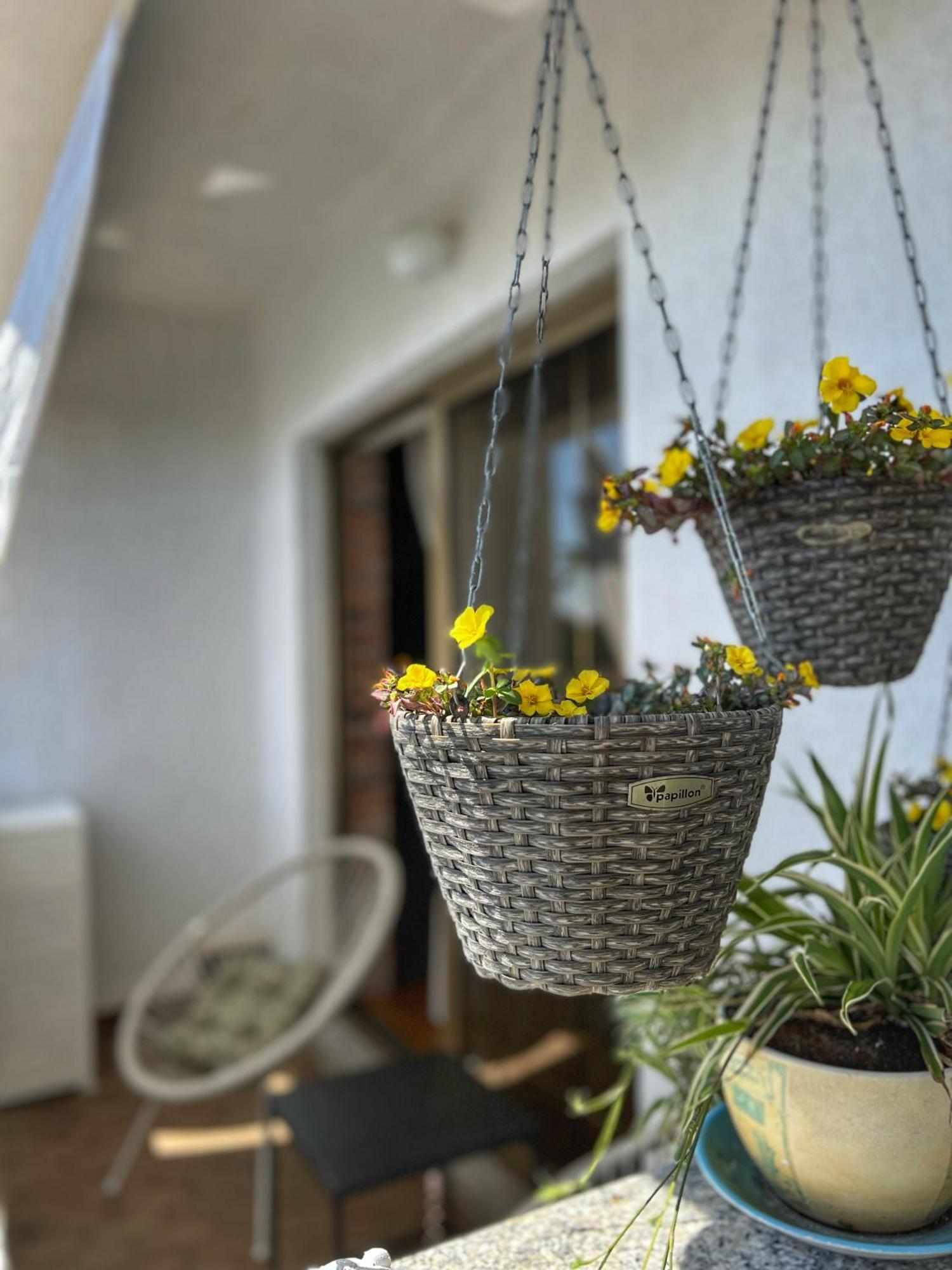 Apartmani Mia Palit Esterno foto